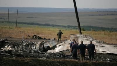 Слушания по делу о крушении MH17 в суде Гааги будут проходить до 2022 года