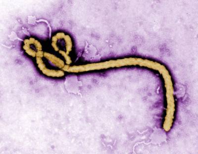 Минздрав хочет сделать вакцинацию от Эболы обязательной