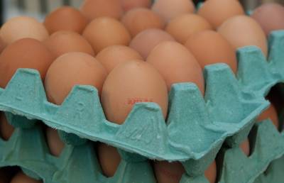 Производство яиц упало на 20%