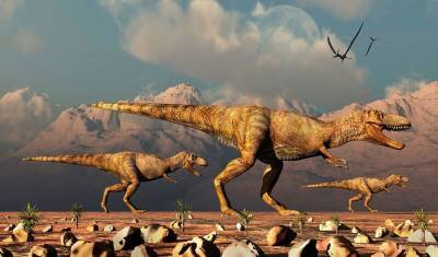 Палеонтологи: тираннозавры охотились стаями, как волки