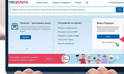 В сливе личных данных пользователей сайта «Свободу Навальному!» заподозрили портал «Госуслуги»