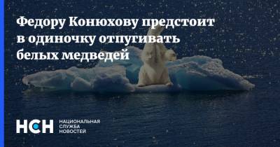 Федору Конюхову предстоит в одиночку отпугивать белых медведей
