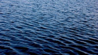 Двое мужчин утонули в Воронежском водохранилище