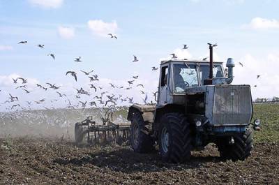 В России могут появиться стандарты для почвы