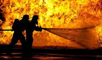 В Госдуме оценили идею ужесточить наказание за повлекшие гибель пожарных поджоги