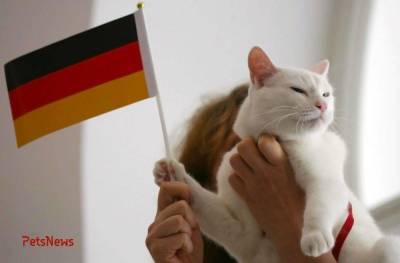 Домашние животные в Германии дорогое, но удовольствие!