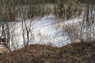 Под Ярославлем обнаружено озеро с химикатами