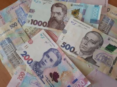 Выплаты ФЛП: сколько украинцев подали заявки за первый день