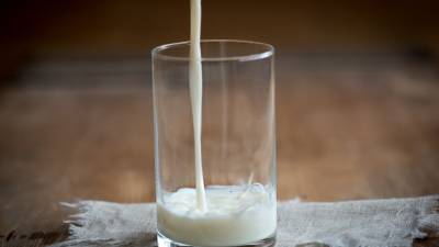 Российские ученые разработали уникальную технологию пастеризации молока