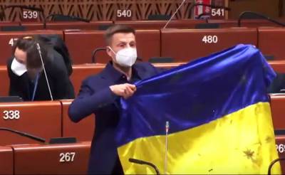 Российской делегации в ПАСЕ принесли извинения за выходку украинского депутата