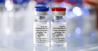 Гинцбург назвал число привитых вакциной "Спутник V"