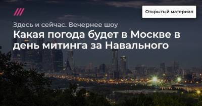 Какая погода будет в Москве в день митинга за Навального