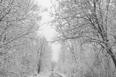 Во Владимирской области ожидается снег
