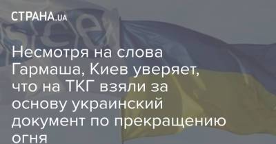 Несмотря на слова Гармаша, Киев уверяет, что на ТКГ взяли за основу украинский документ по прекращению огня