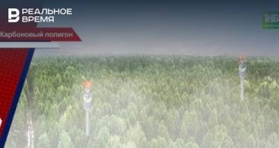В Зеленодольском и Елабужском районах РТ построят карбоновые полигоны — видео