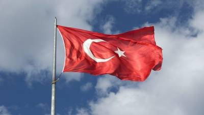 Главы МИД и Минтуризма Турции готовы посетить Москву для переговоров
