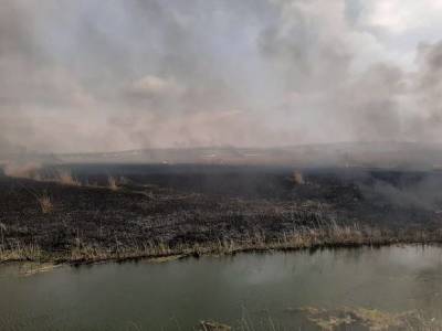 Владивосток затянуло дымом от природных пожаров