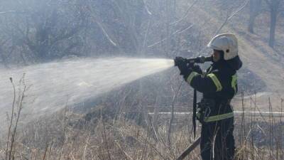 В Приморском крае площадь природных пожаров за сутки выросла в 10 раз