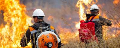 Владивосток заволокло дымом от природных пожаров