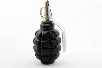 Сапёры Росгвардии изъяли боевую гранату Ф-1 из гаражного кооператива в Чите