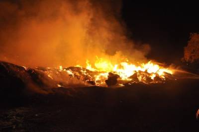 В районе аэропорта Пулково горела гора мусора — видео