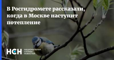 Юрий Варакин - В Росгидромете рассказали, когда в Москве наступит потепление - nsn.fm - Москва