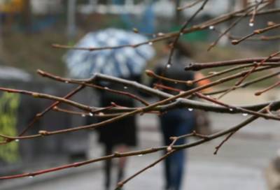 Більшість регіонів накриють дощі: українців 21 квітня чекає похмура погода - прогноз синоптиків