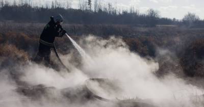 В Калининградской области за сутки потушили почти два десятка палов травы