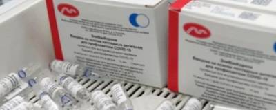 В Челябинскую область поступила вакцина «ЭпиВакКорона»
