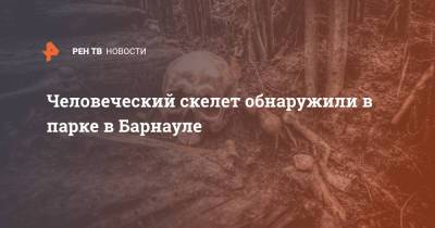 Человеческий скелет обнаружили в парке в Барнауле