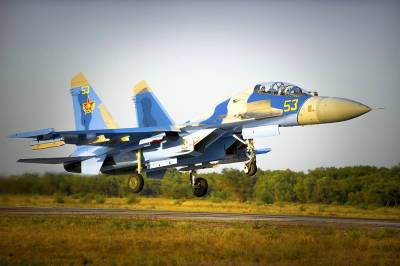 Причиной крушения Су-30СМ в Казахстане могли стать птицы