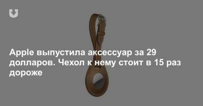 Apple выпустила аксессуар за 29 долларов. Чехол к нему стоит в 15 раз дороже