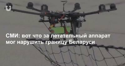 СМИ: вот что за летательный аппарат мог нарушить границу Беларуси