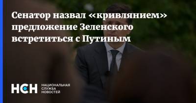 Сенатор назвал «кривлянием» предложение Зеленского встретиться с Путиным