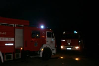 Из горевшего дома в Рябово эвакуировали девять человек