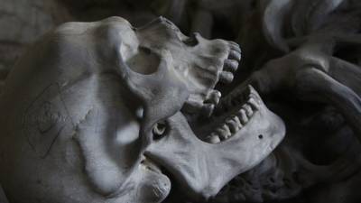 Житель Барнаула нашел человеческий скелет в местном парке