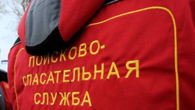 Сахалинские следователи устанавливают обстоятельства пропажи 11-летнего школьника