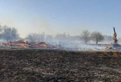В Тверской области горевшая сухая трава едва не уничтожила деревню