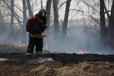 В 16 территориях Свердловской области запретили разжигать костры