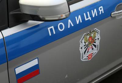 Петербуржца на каршеринге задержали за пользование чужим аккаунтом