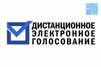 В Дагестане стартует прием заявлений на участие в тестировании системы дистанционного электронного голосования