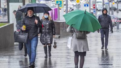 Синоптики прогнозируют прохладную погоду и дождь в Петербурге
