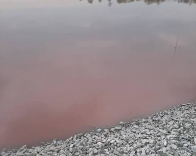 Под Днепром нашли красный пруд: Сливают кровь животных