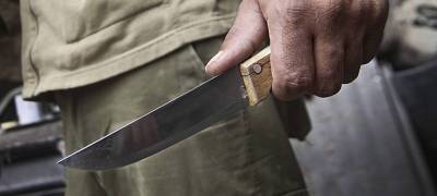 Мужчина в Карелии приставил нож к животу женщины, чтобы прекратить скандалы