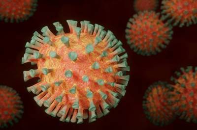 Эксперт не допустил вероятность образования опасного вируса в организме человека
