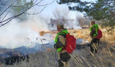 За прошедшие сутки в регионе ликвидировали шесть лесных пожаров