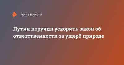 Путин поручил ускорить закон об ответственности за ущерб природе