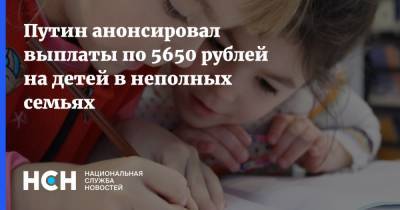 Путин анонсировал выплаты по 5650 рублей на детей в неполных семьях