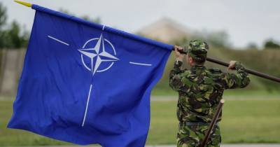 Вступление Украины в НАТО: сколько граждан поддерживает такую идею - tsn.ua