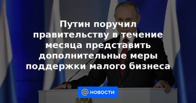 Путин поручил правительству в течение месяца представить дополнительные меры поддержки малого бизнеса